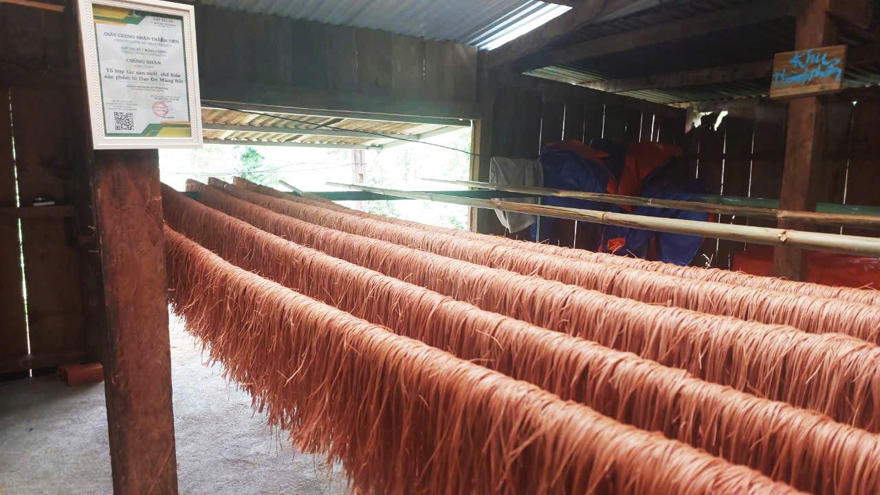 Lễ ra mắt Hợp tác xã T'Măng Deeng