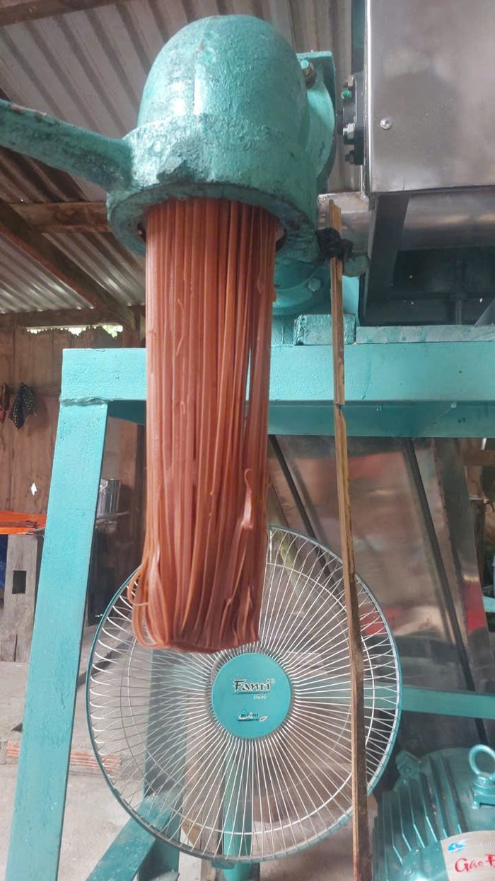 Hoạt động hợp tác xã