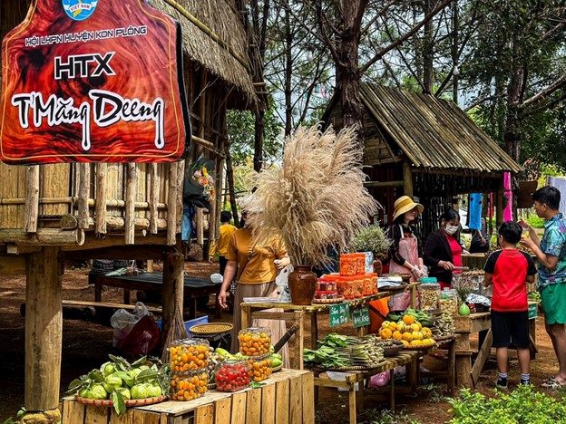 Hoạt động của hợp tác xã